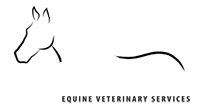 Thunderbolt Equine Veterinary Services