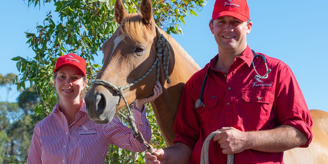 thunderbolt-equine-aboutus